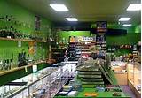 Pictures of Glass Pipe Shops Denver