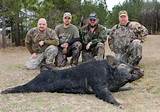 Hog Hunting Outfitters In South Carolina Images