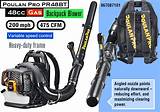 Images of Poulan Pro Gas Backpack Blower Reviews