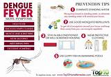Home Remedies For Dengue Mosquito Photos