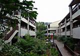 Images of Student Housing Services University Of Hawaii At Manoa
