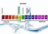 Images of How To Ph Balance Water For Plants