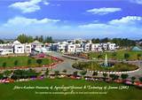 University Of Jammu Distance Education Images