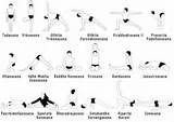 Yoga Leg Workouts