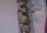 Images of Termite Ceiling Tubes
