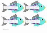 Rainbow Fish Images Free Images