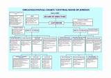 Investment Management Organizational Chart Images