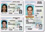 How Old To Get A Cdl License Images