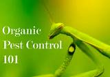 Organic Pest Control Services Images