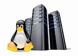 Images of Linux Server Hosting Price