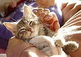 Cats Nursing Homes Images