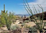 Best Hikes Around Phoenix