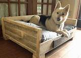 Memory Beds For Dogs Images