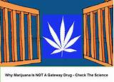 Images of Why Is Marijuana A Gateway Drug