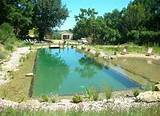 Pictures of Natural Pool Landscaping Ideas