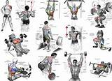Muscle Building Exercises In Gym Pictures