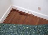 Pictures of Carpet Under Bed