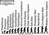 Pictures of Timeline Of The Theory Of Evolution