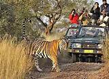 Pictures of India Safari Packages