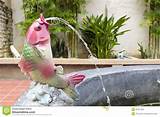 Pictures of Fish Pond Fountain