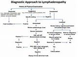 Lymphadenopathy Medical Definition Photos