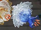 Glass Flowers Made From Plates Images