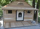 Large Air Conditioned Dog House Pictures