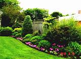Easy Landscaping Ideas Images