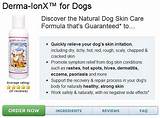 Medication For Dog Skin Allergies Pictures