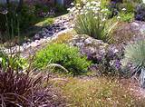 Pictures of Xeriscape Landscaping Ideas
