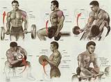 Images of Bicep Workout Exercises