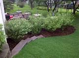 Landscaping Tips Photos