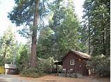 Sequoia National Park Lodging Near