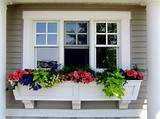 Decorative Window Flower Boxes Images