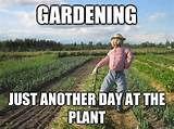 Pictures of Gardening Meme