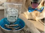 Photos of Fish Treats For Dogs