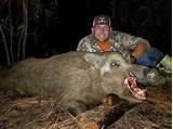 Hunting Outfitters Florida Photos