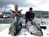 Images of Tuna Com Fishing Charters