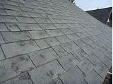 Hail Damage Siding Insurance Claims Pictures