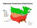 Pictures of Termite Map Us