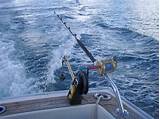 Offshore Fishing Videos Pictures
