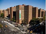 Stuyvesant Town Apartments For Rent Pictures