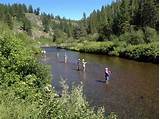Pictures of Free Fly Fishing Images
