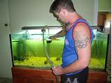 Fish Tank Cleaner Service Images