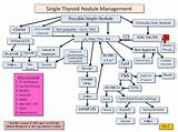 Thyroid Cancer Treatment Guidelines Pictures
