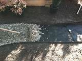 Pictures of Using River Rocks In Landscaping