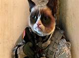 Cats Us Army Training Photos