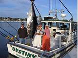 Bluefin Fishing Boat