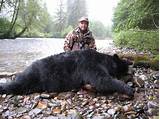 Alaska Bear Hunting Outfitters Images