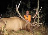 Elk Hunting Outfitters Wyoming Images